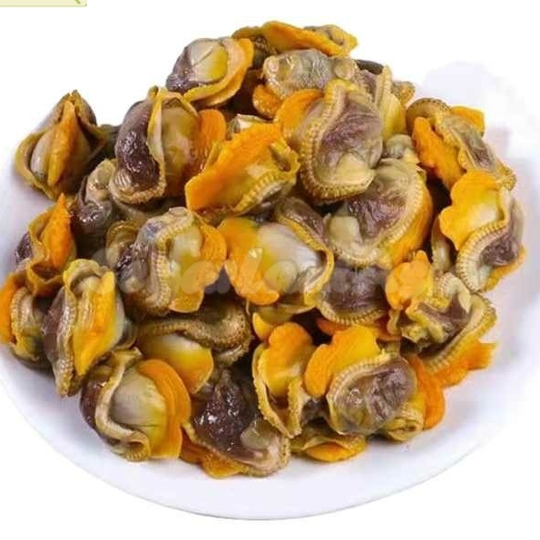 

Kerang Dara Kupas Segar 1Kg Daging Kerang Dara