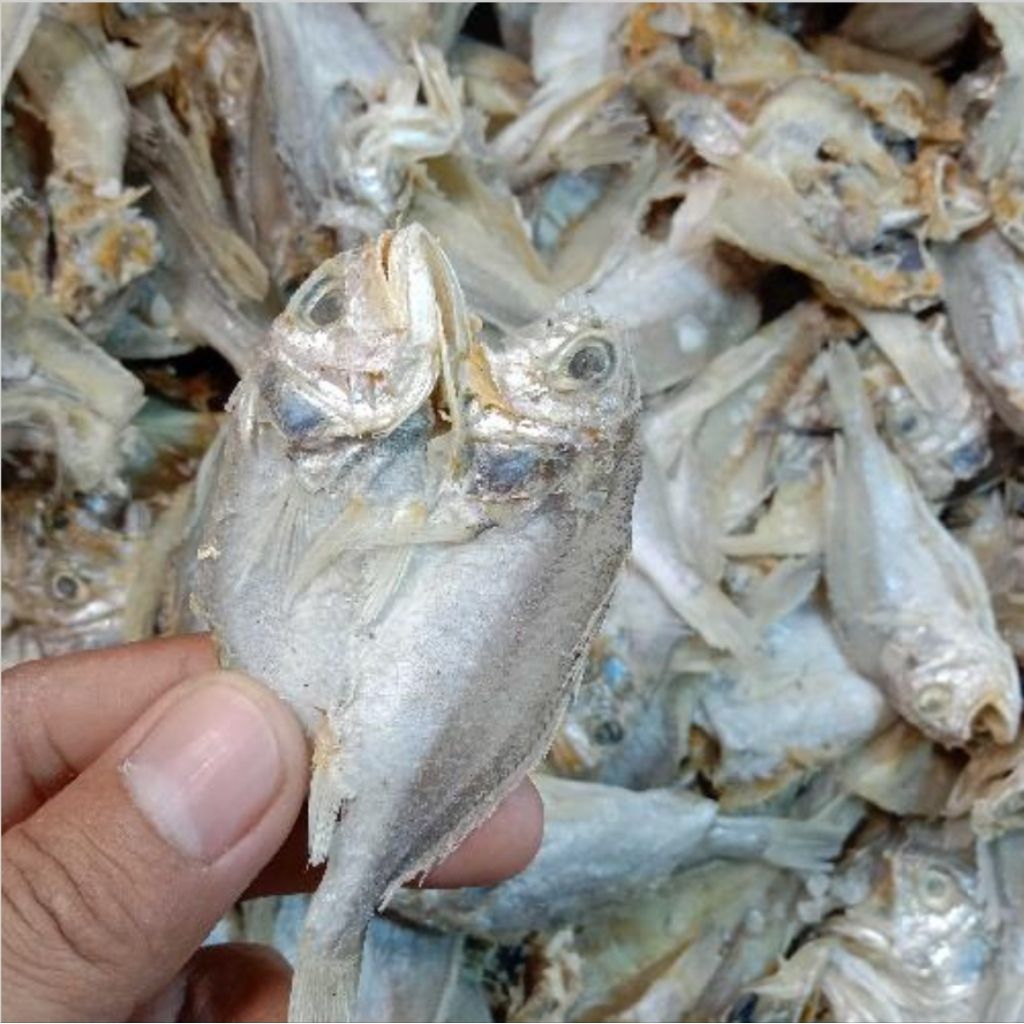 

ikan asin bilis