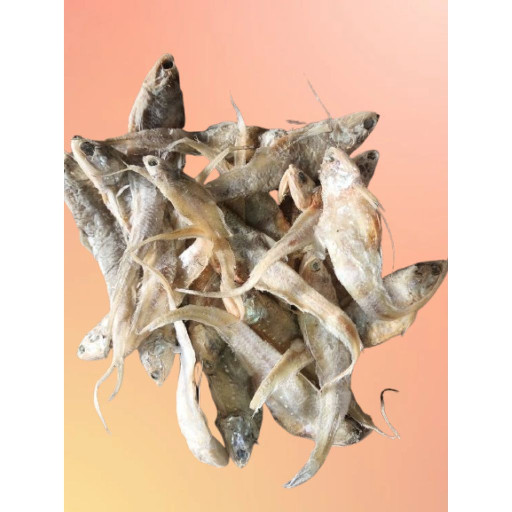 

BULU AYAM FRESH [ 1 KG ] [ 500 GR ] [ 250 GR ] QUALITY SUPER KERING