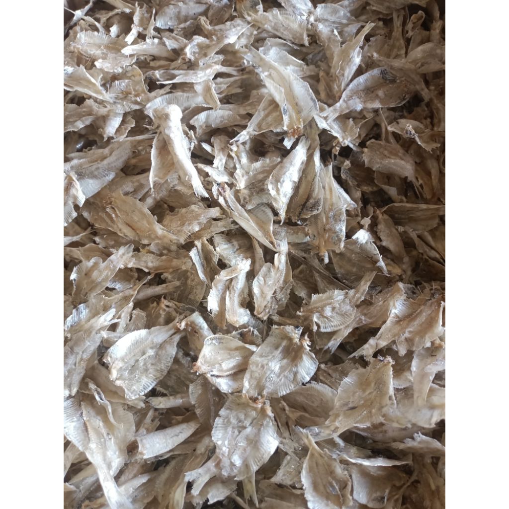 

[COD] IKAN PAKANG TAWAR RINGAN | IKAN TERI GEPENG PAKANG TAWAR [ 1 KG ] [ 500 GR ] [ 250GR ]SUPER KUALITAS DAN TERJAMIN BERSIH