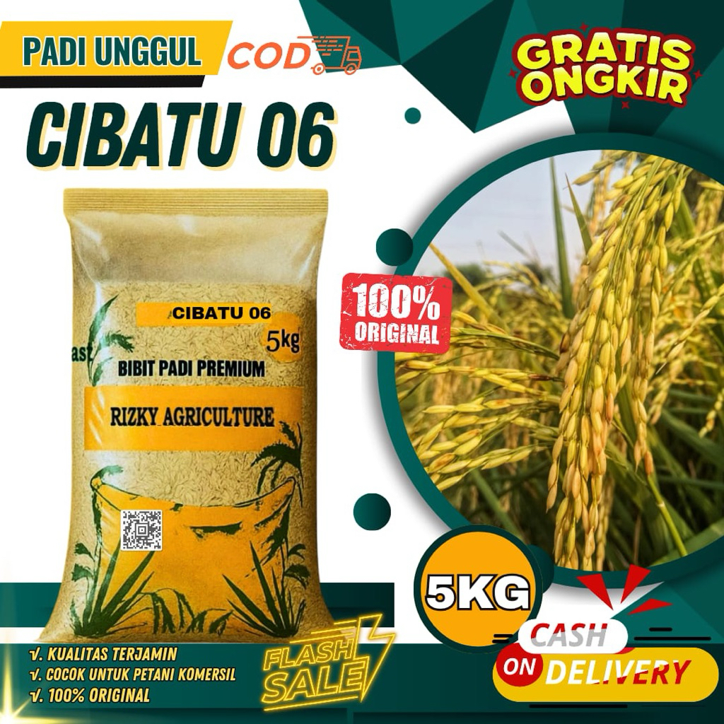 BENIH PADI BIBIT PADI CIBATU 06 BIBIT UNGGUL KEMASAN 5 KG