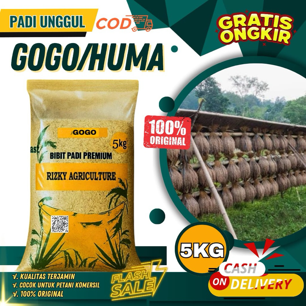 BENIH PADI BIBIT PADI GOGO/ INPAGO BIBIT KUALITAS UNGGUL 5KG