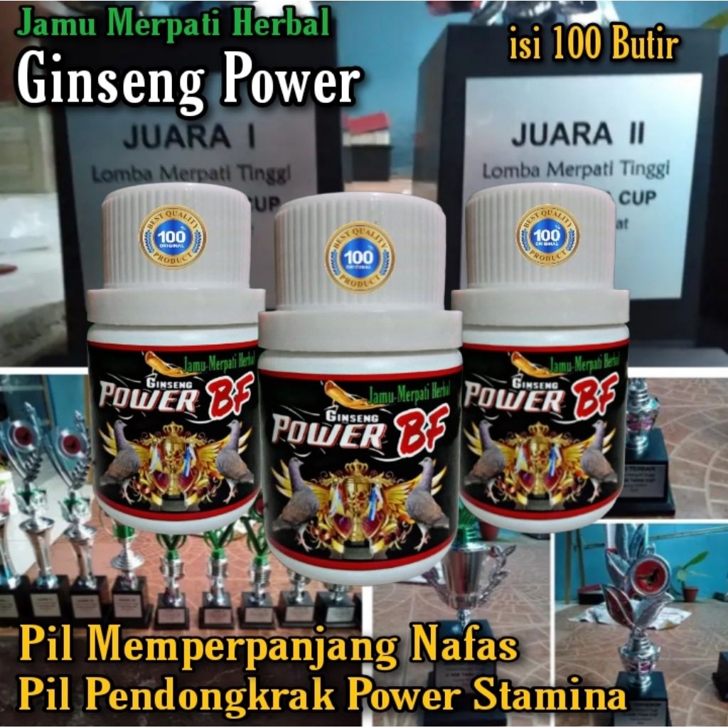 PROMO ISI 100 BUTIR JAMU MERPATI GINSENG POWER BF/untuk merpati kolong dan balap suplemen merpati ex