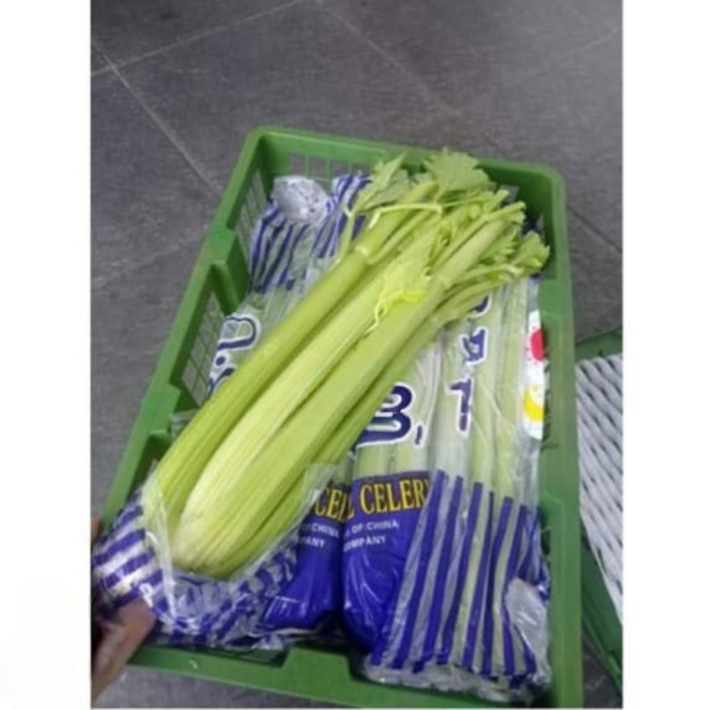 

Celery Stick/Celery Staly Batang Sledri Untuk Jus