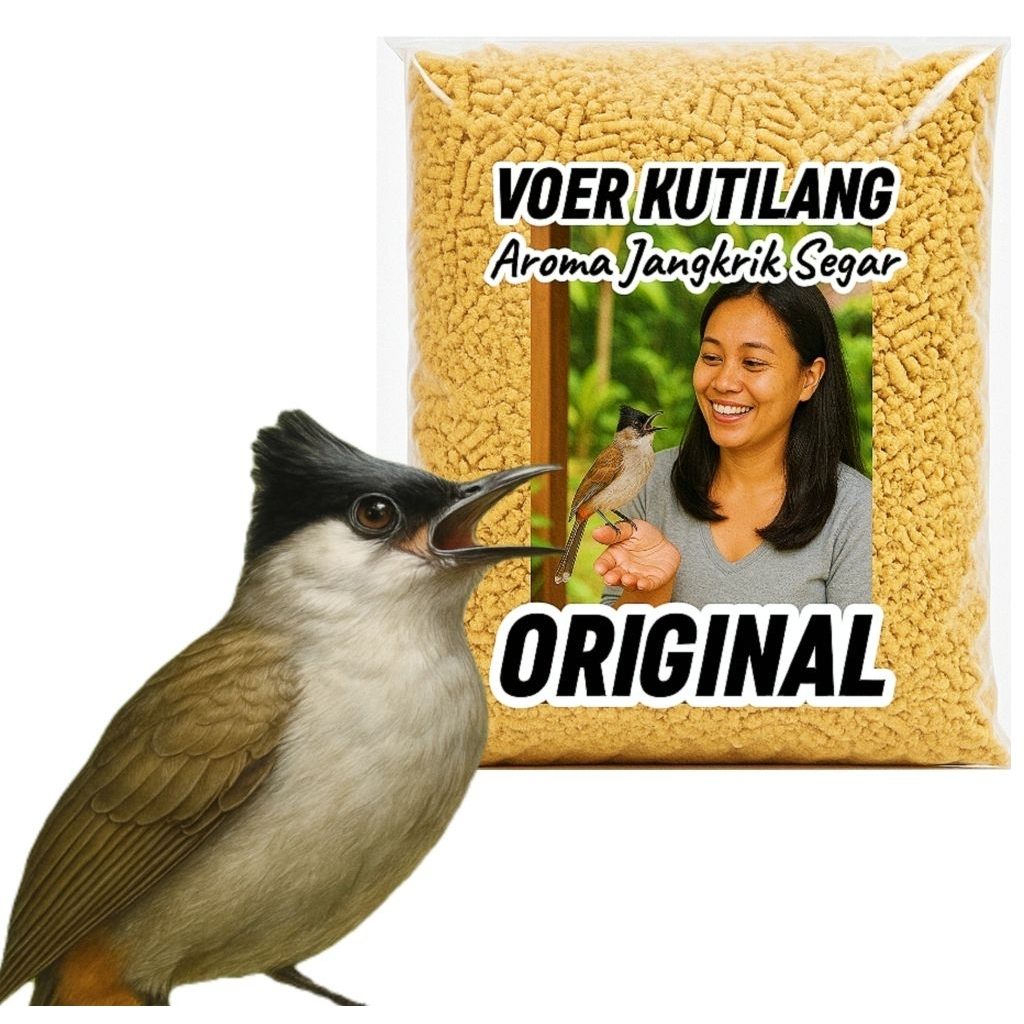 Voer Burung Kutilang. Pur Aroma Jangkrik Segar. Makanan Burung Kutilang Baret Hitam.