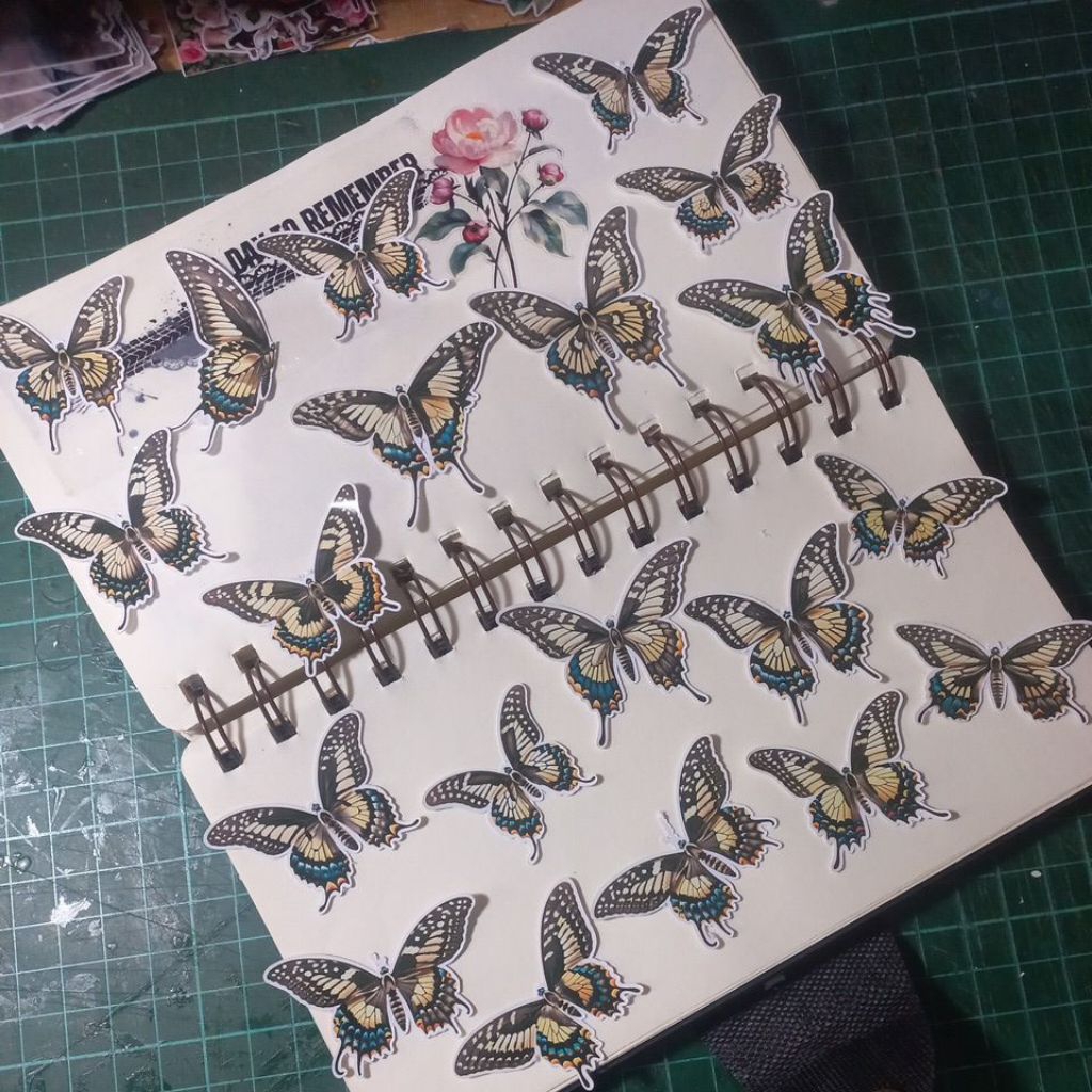 

ARTDOESWORK Butterfly newest2