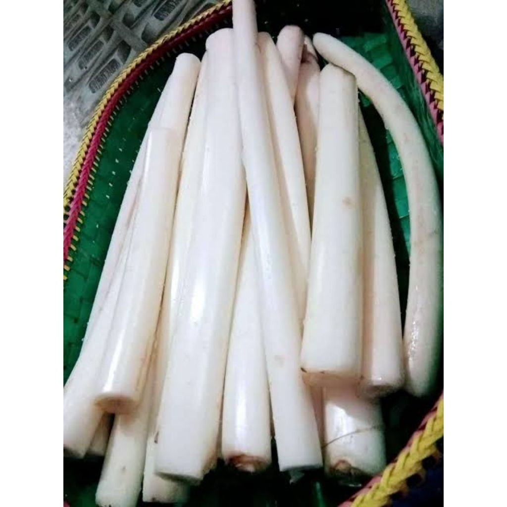 

batang pohon pisang muda fres bahan masakan 1kg