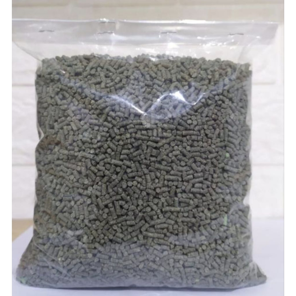 PUR HIJAU KILOAN ECER PAKAN BURUNG HARIAN VOER 521