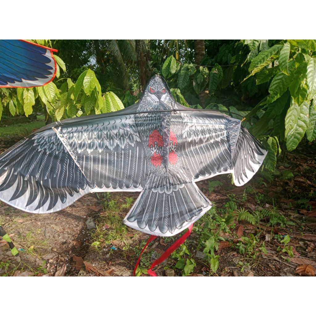 layangan parasut elang JUMBO