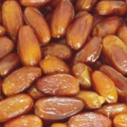 

Korma Tunisia Basah Alger Madu Kurma Lembut Manis Natural 100 250 500 1000 5000 gram