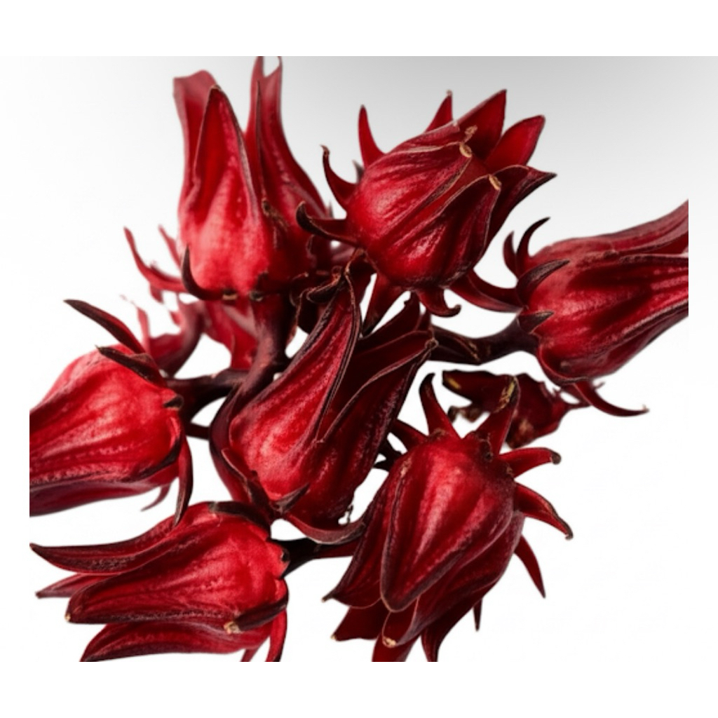 

Bunga Rosela Kering/Dried Hibiscus Flower (Sachet)