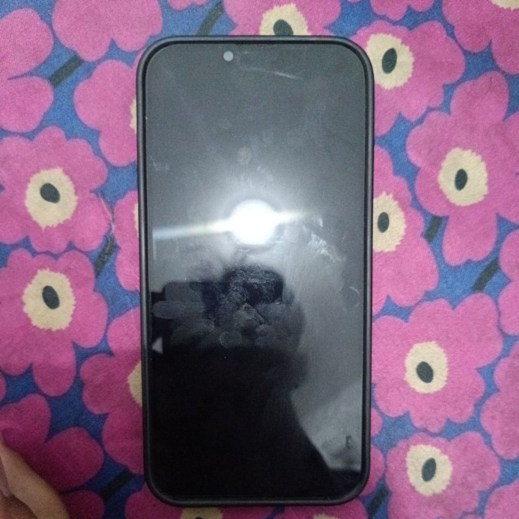 Ip 14 Plus ex inter