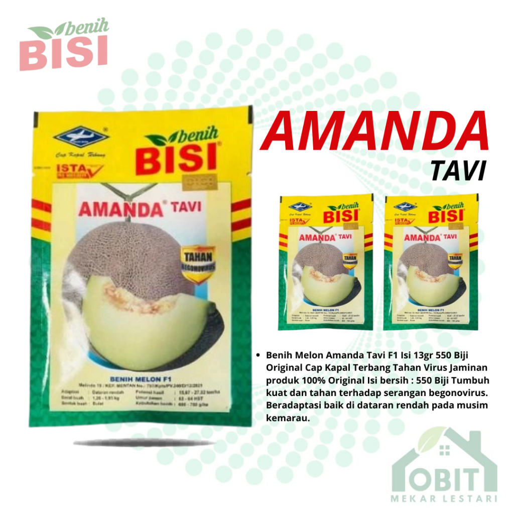 AMANDA TAVI F1 - Benih bibit biji buah melon hibrida manis besar CAP KAPAL TERBANG
