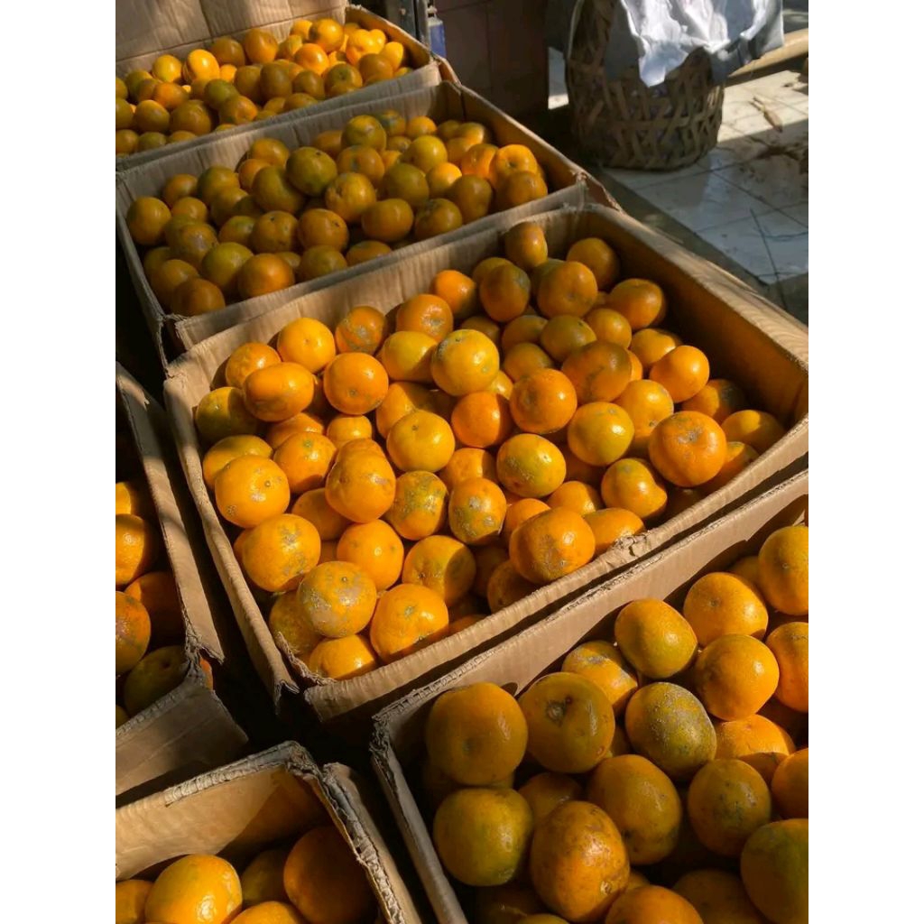 

JERUK SIEUM fresh petani