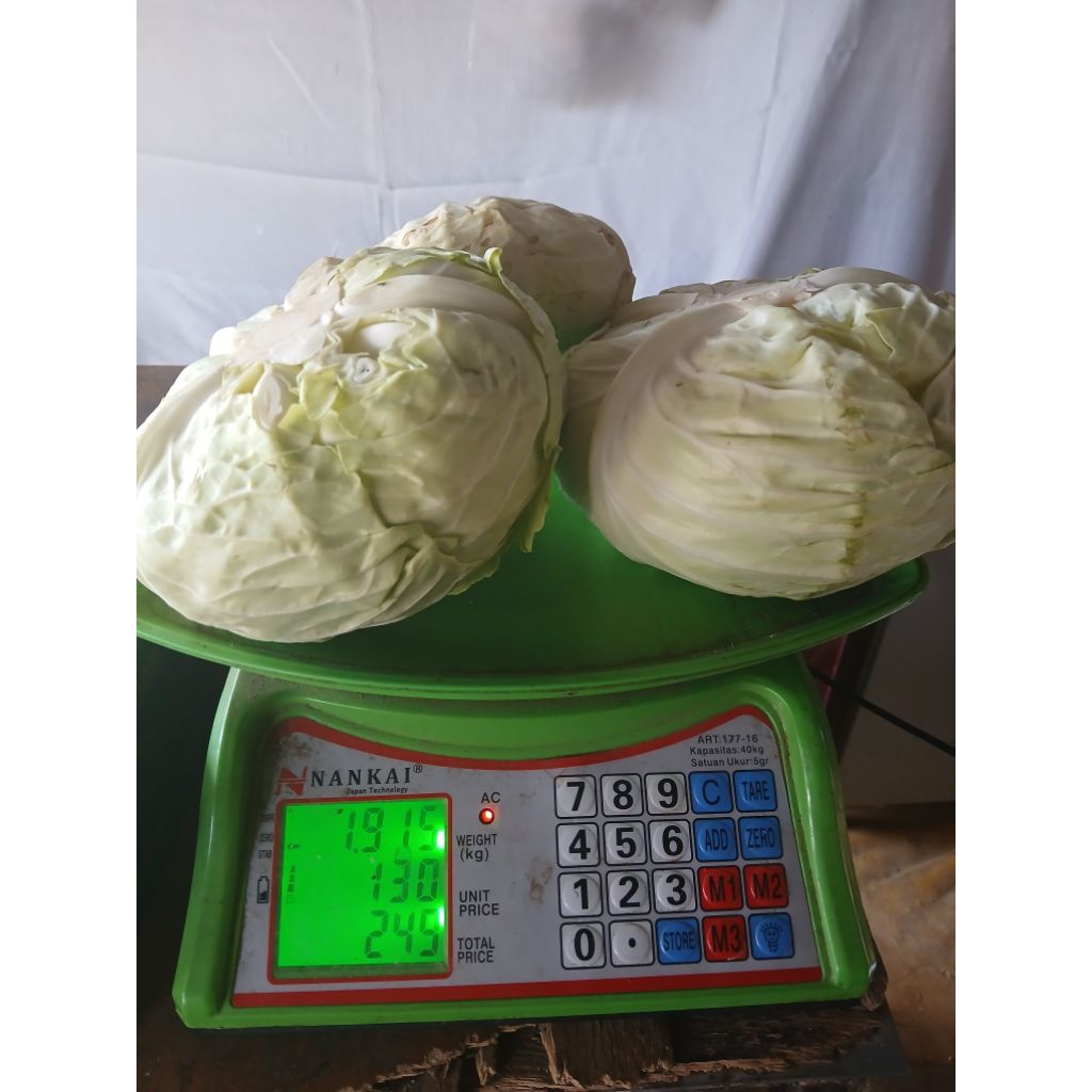 

sayuran segar koll , kubis