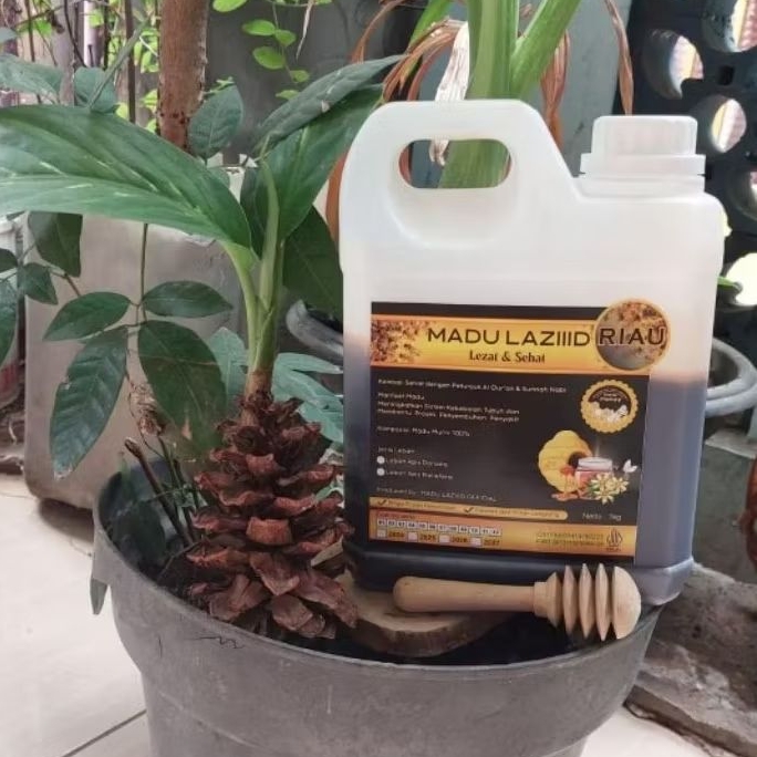 

1kg Madu murni Hutan akasia carpa Riau, murni 100% tanpa proses dan campuran apapun (Raw honey) 1kg