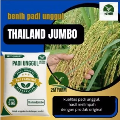 padi unggul THAILAND JUMBO 5kg