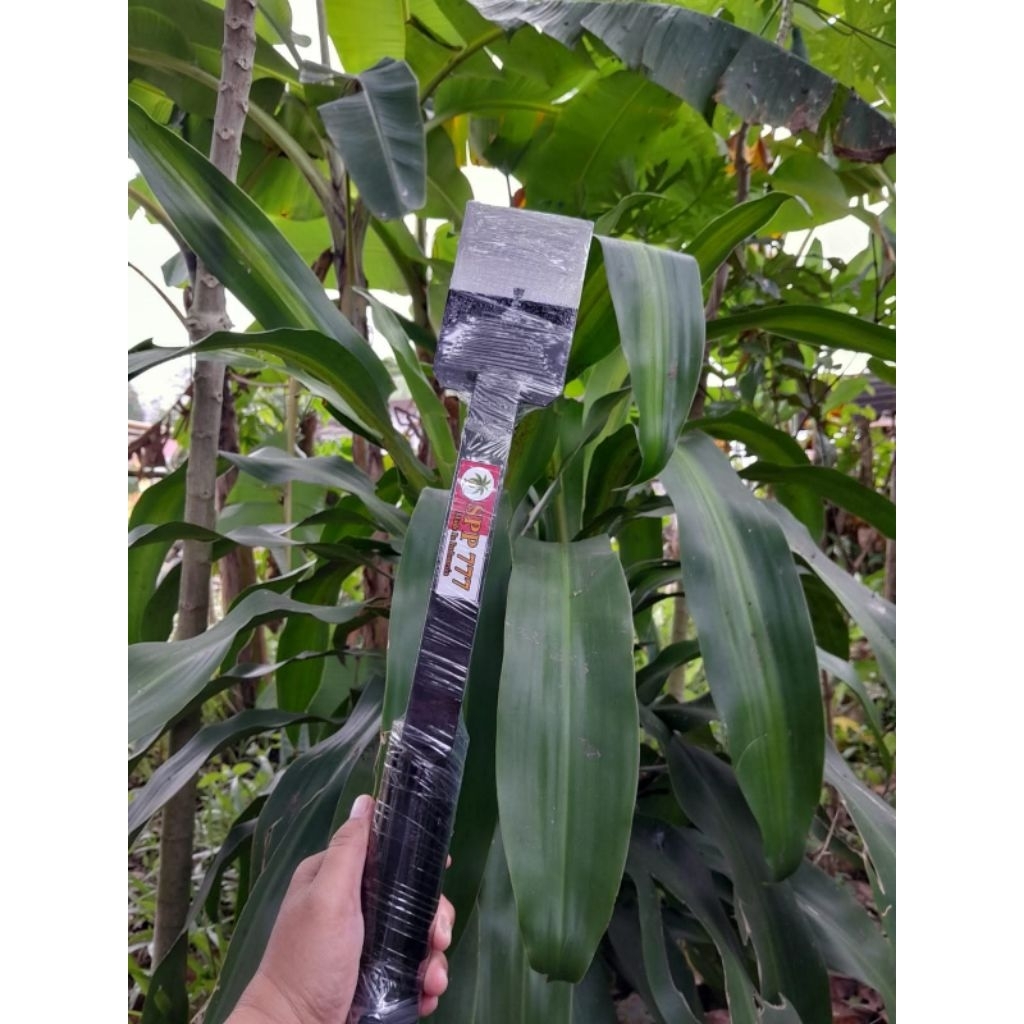 Dodos kastrasi sawit spp 777 bahan baja asli