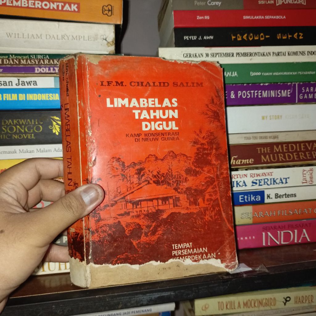 Limabelas Tahun Digul: Kamp Konsentrasi di Nieuw Guinea by I. F. M. Chalid Salim