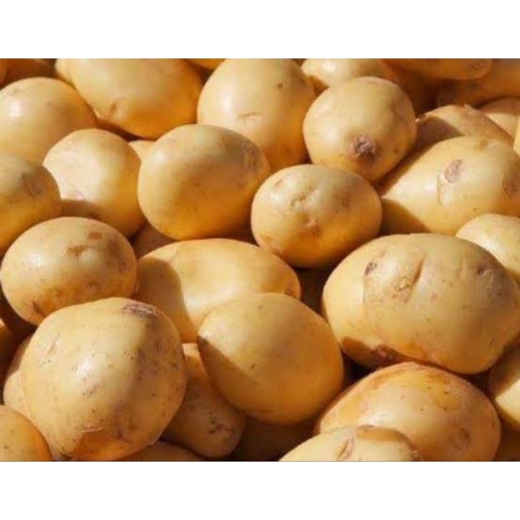 

kentang dieng super isi 5kg '