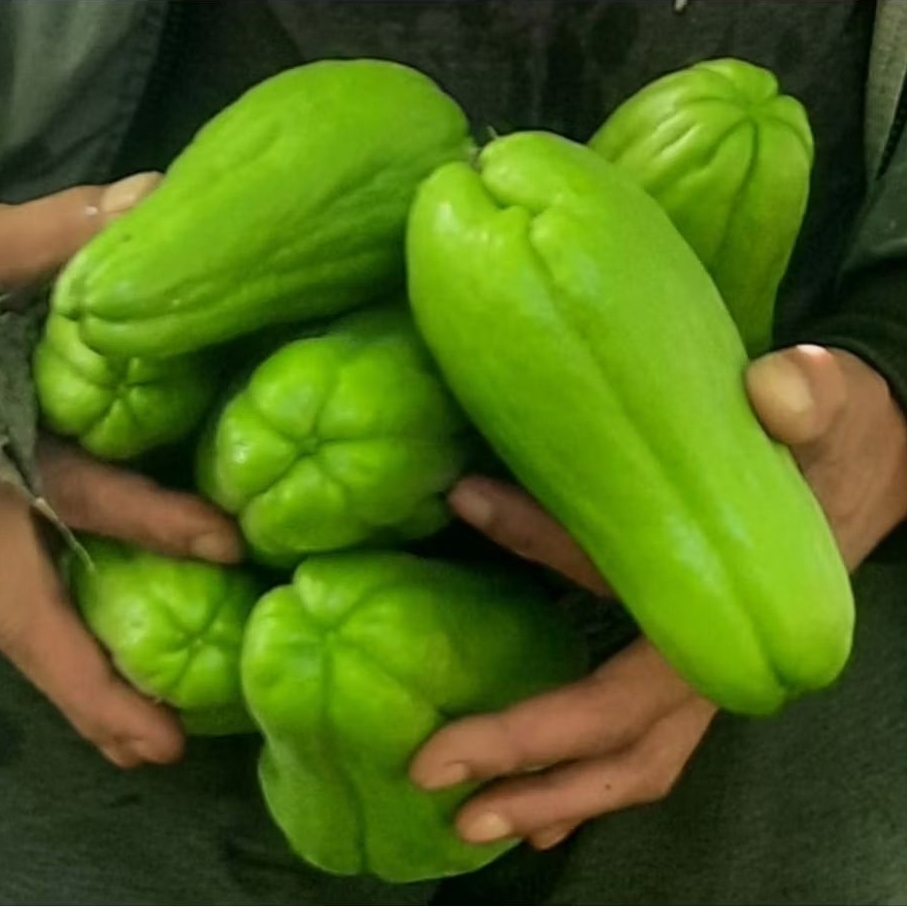 

Labu Siam Premium1 kg