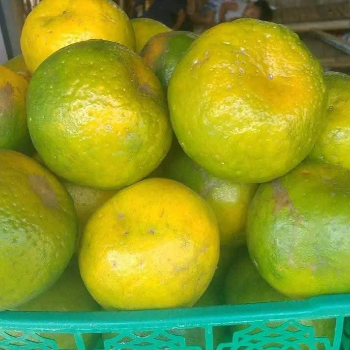 

jeruk buah manis segar(500gr dan 1000gr)di jamin fress dengan harga terjangkau