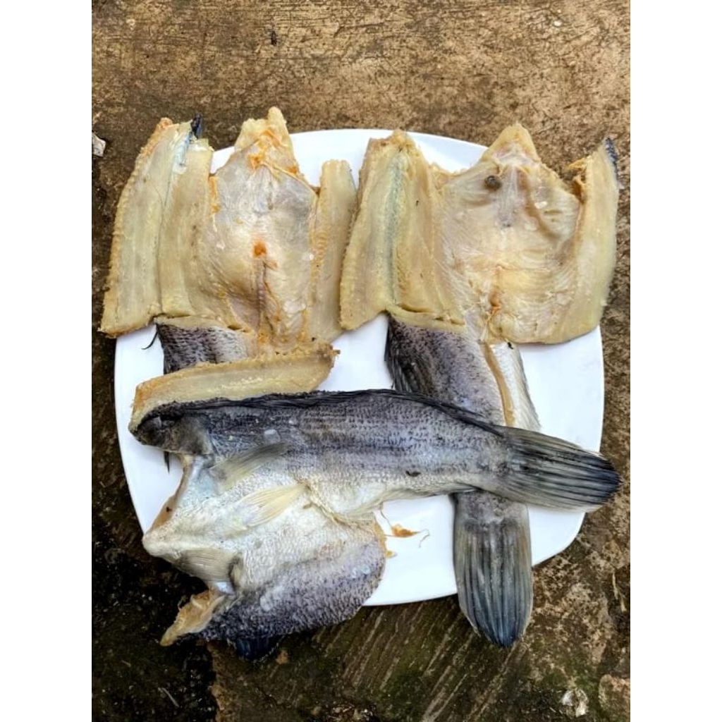 

PROMO ikan asin gabus kering kemasan 1kg termurah