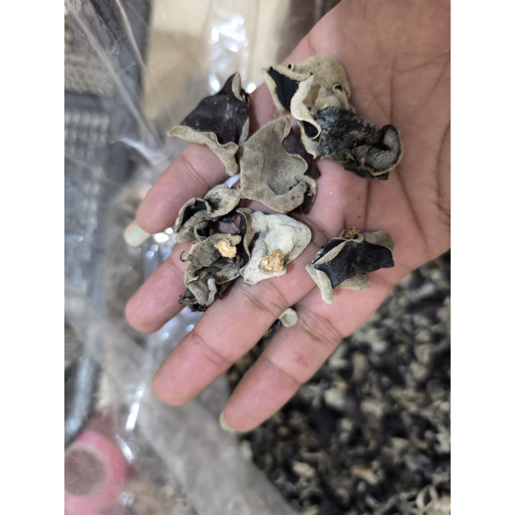 

Jamur Kuping 1kg kering rencekan kecil bagus murah gratis ongkir