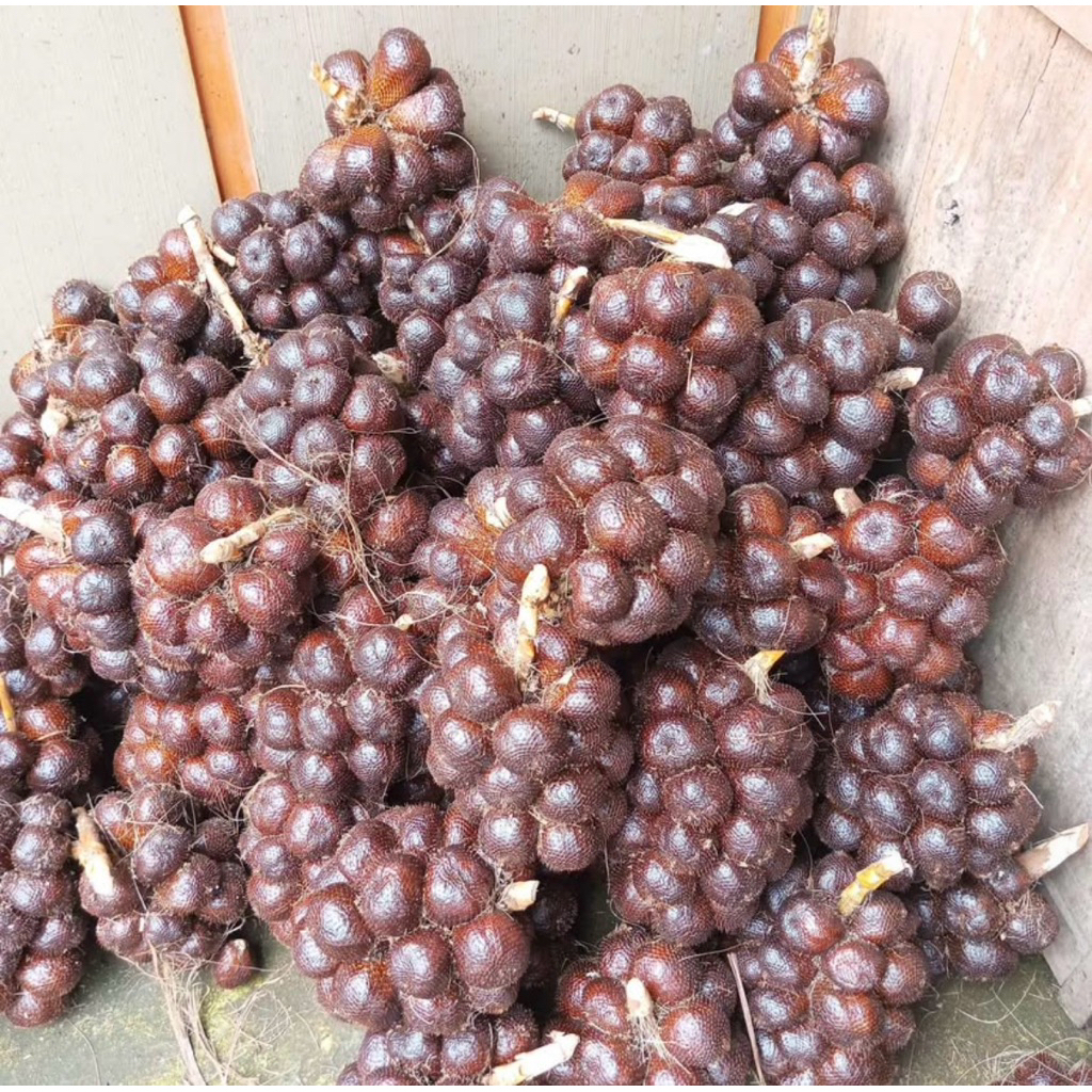 

salak pondoh Pronojiwo ful fres langsung dari petani