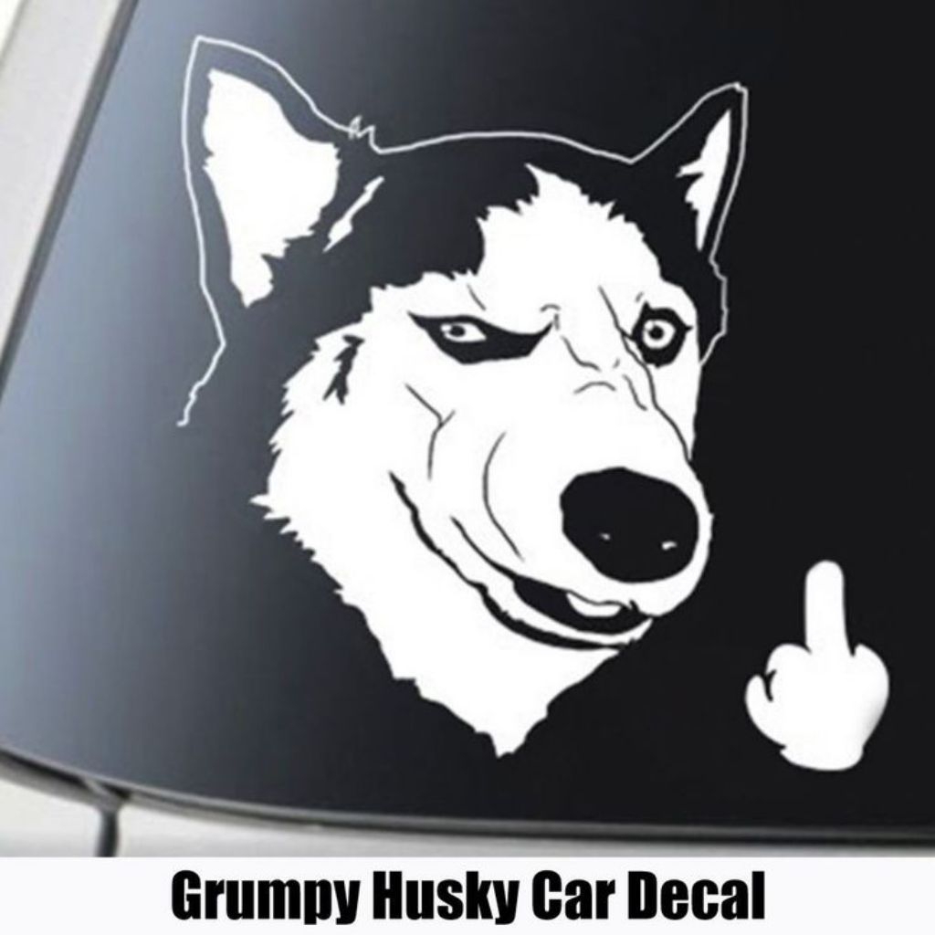 Sticker kaca mobil keren stiker kaca mobil terlaris stiker kaca belakang mobil terbaru termurah