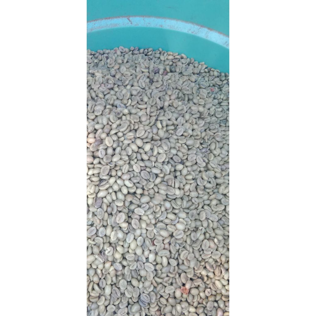 

green bean robusta 100kg