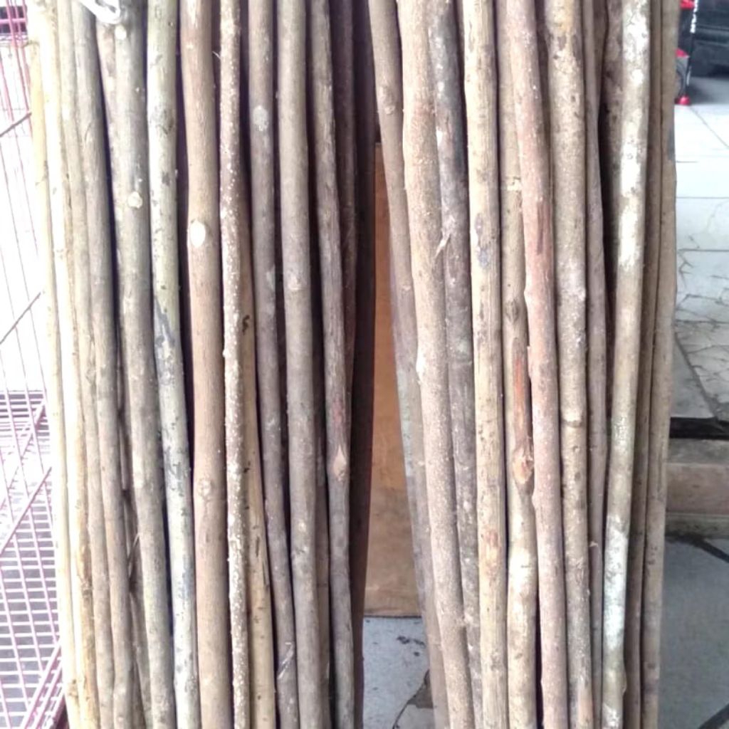 TANGKRINGAN KAYU ASEM JAWA SUPER PANJANG