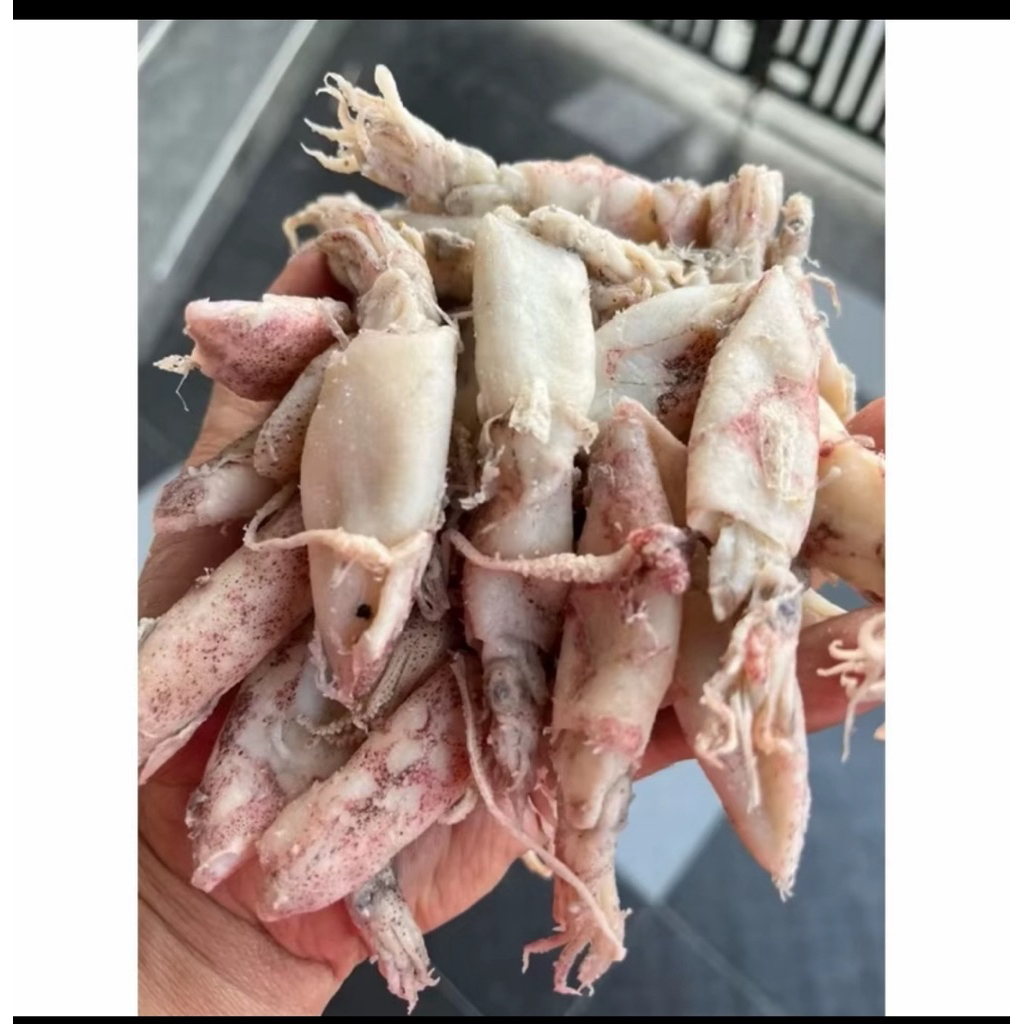 cumi asin kering sedang ikan asin cumi 500gram asli tuban