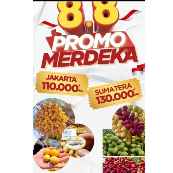 

PROMO MERDEKA!! READY KURMA MUDA MESIR/ KURMA PROMIL