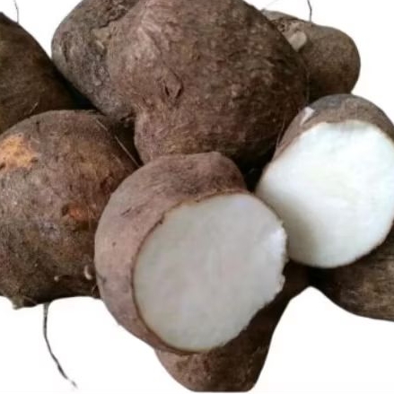 

uwi segar, umbi uwi segar, makanan sehat pengganti nasi, camilan sehat