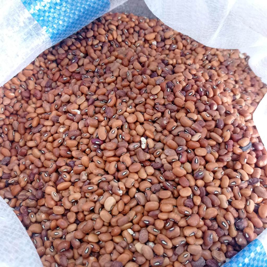 

Kacang Tolo/Kacang Tunggak 1kg