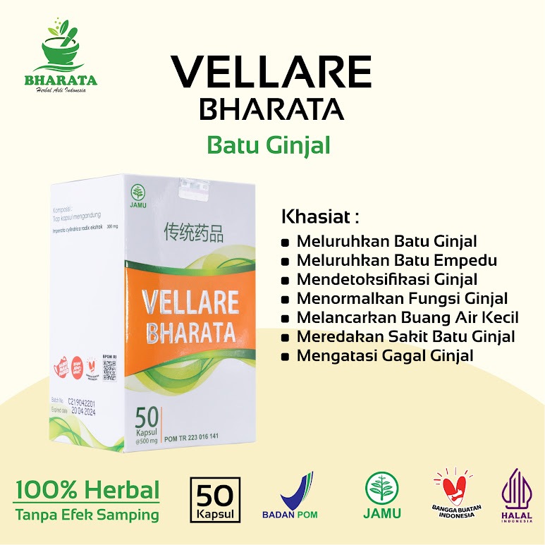Obat Batu Ginjal | Obat Batu Empedu | Obat Kencing Batu | Vellare Bharata | 100% Original Bharata