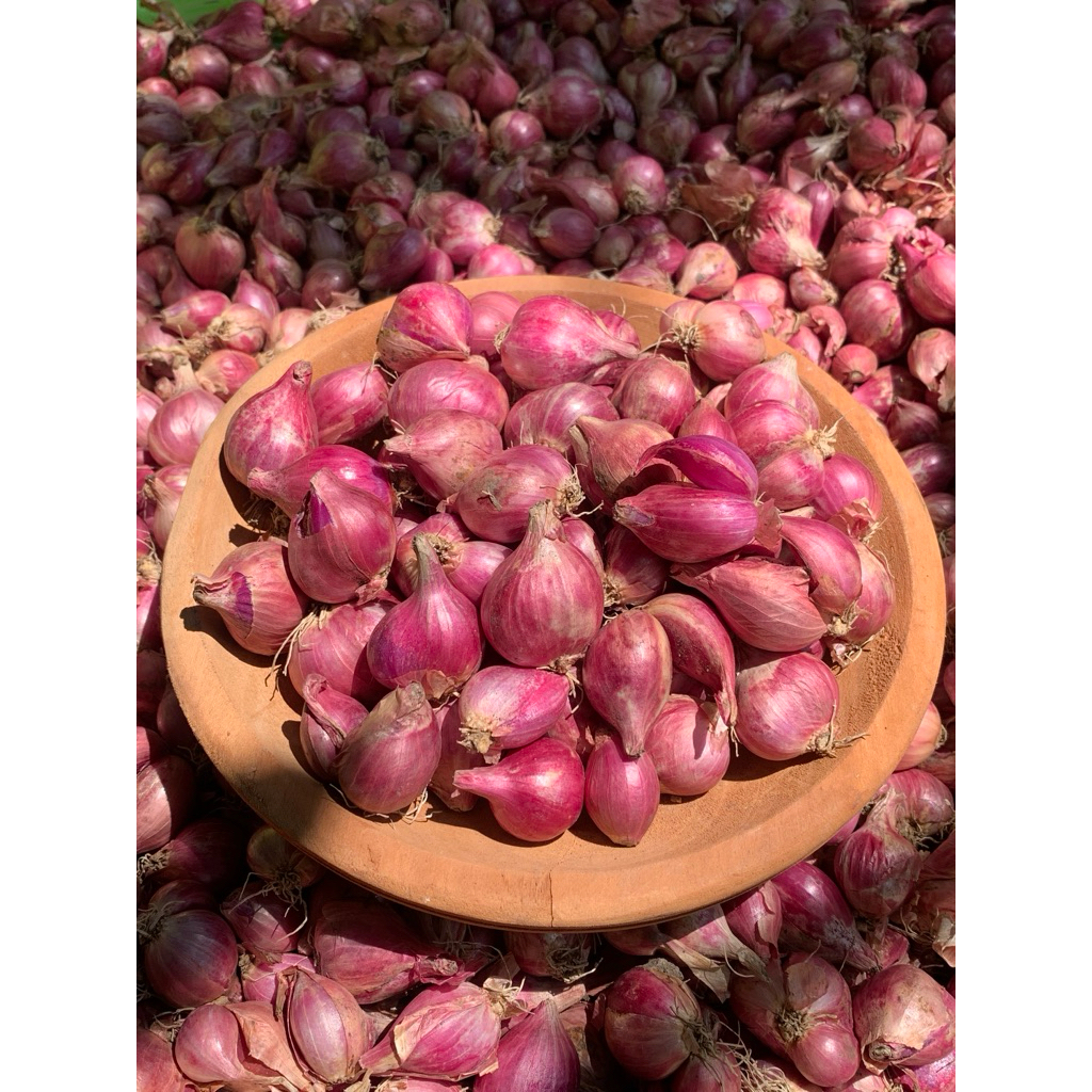 

PROMO!!! Super Bawang Merah Nganjuk Kering Termurah Bamer Berkualitas