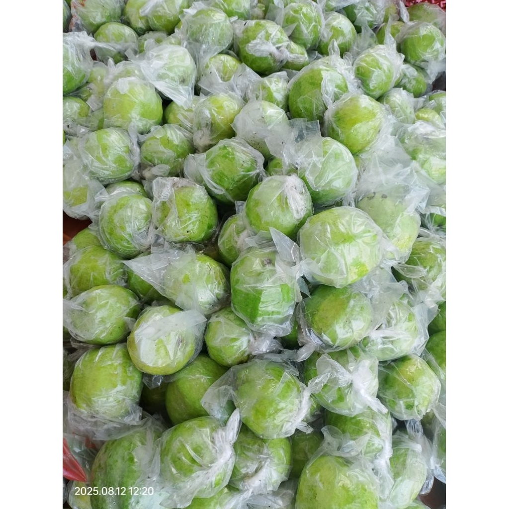 

Jambu kristal Non Biji 1 KG Random