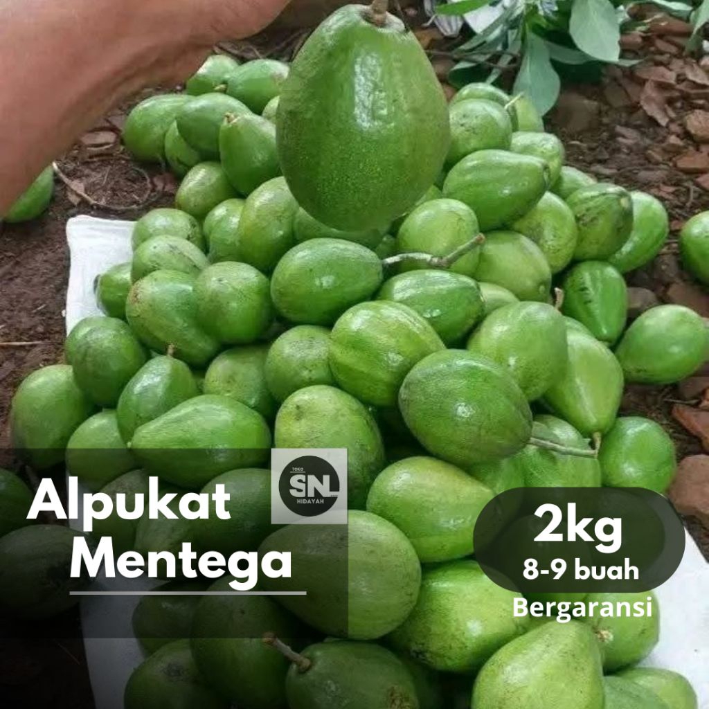 

Alpukat Mentega Bogor 2 kg