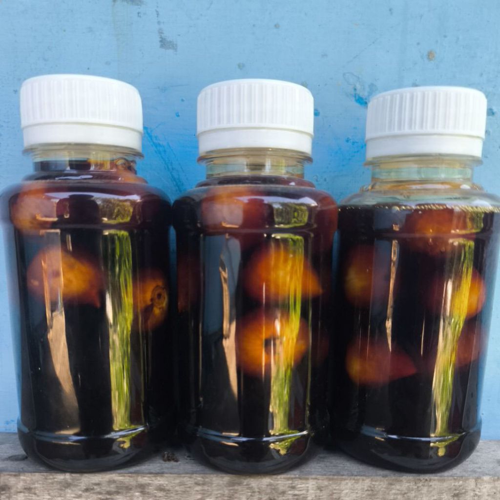 

Madu Bawang Putih Tunggal 150Gram Murah Asli