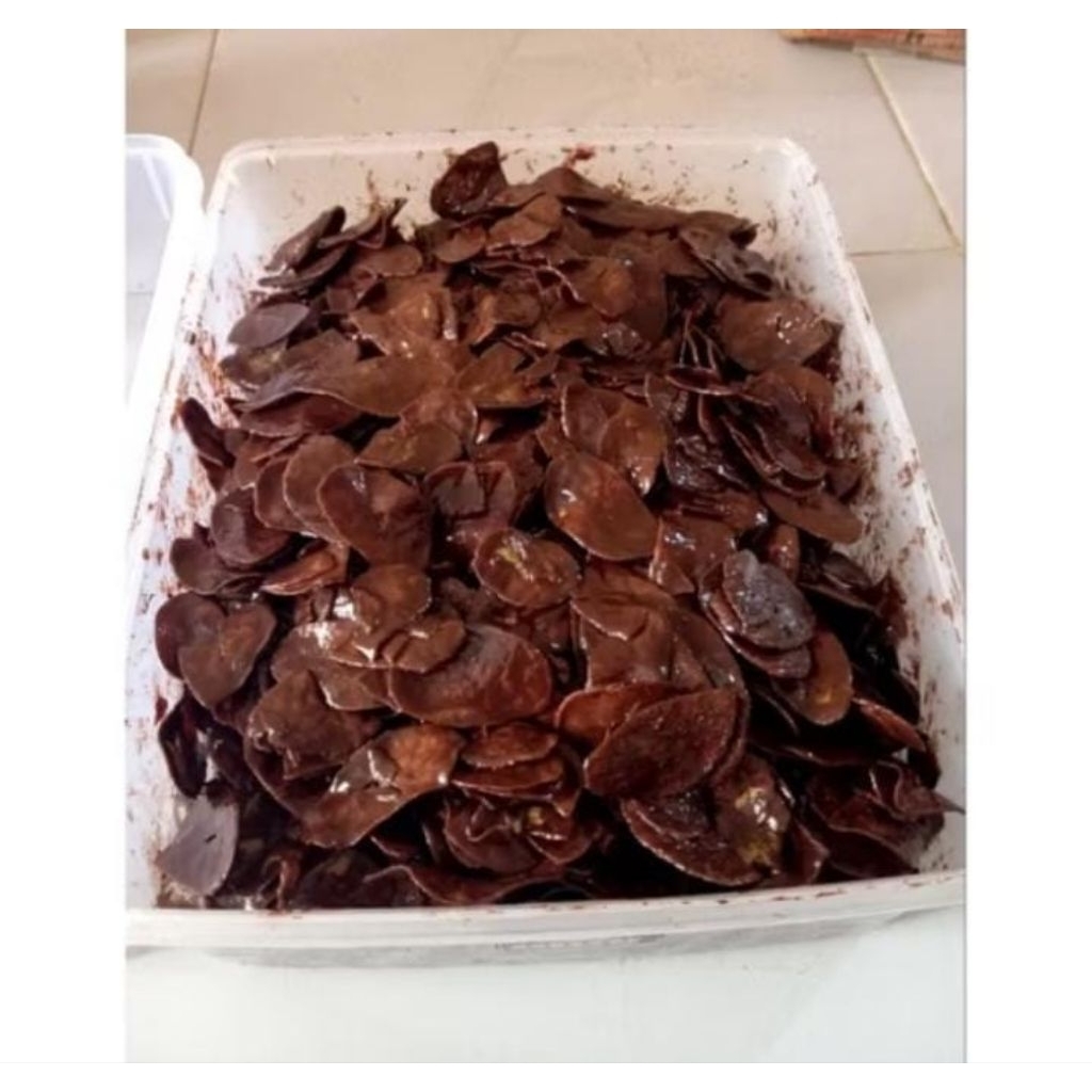 

Keripik Pisang Lumer Keripik Pisang Coklat Kemasan 500gram