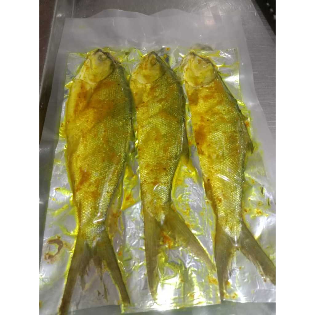 

IKAN BANDENG PRESTO 350GR