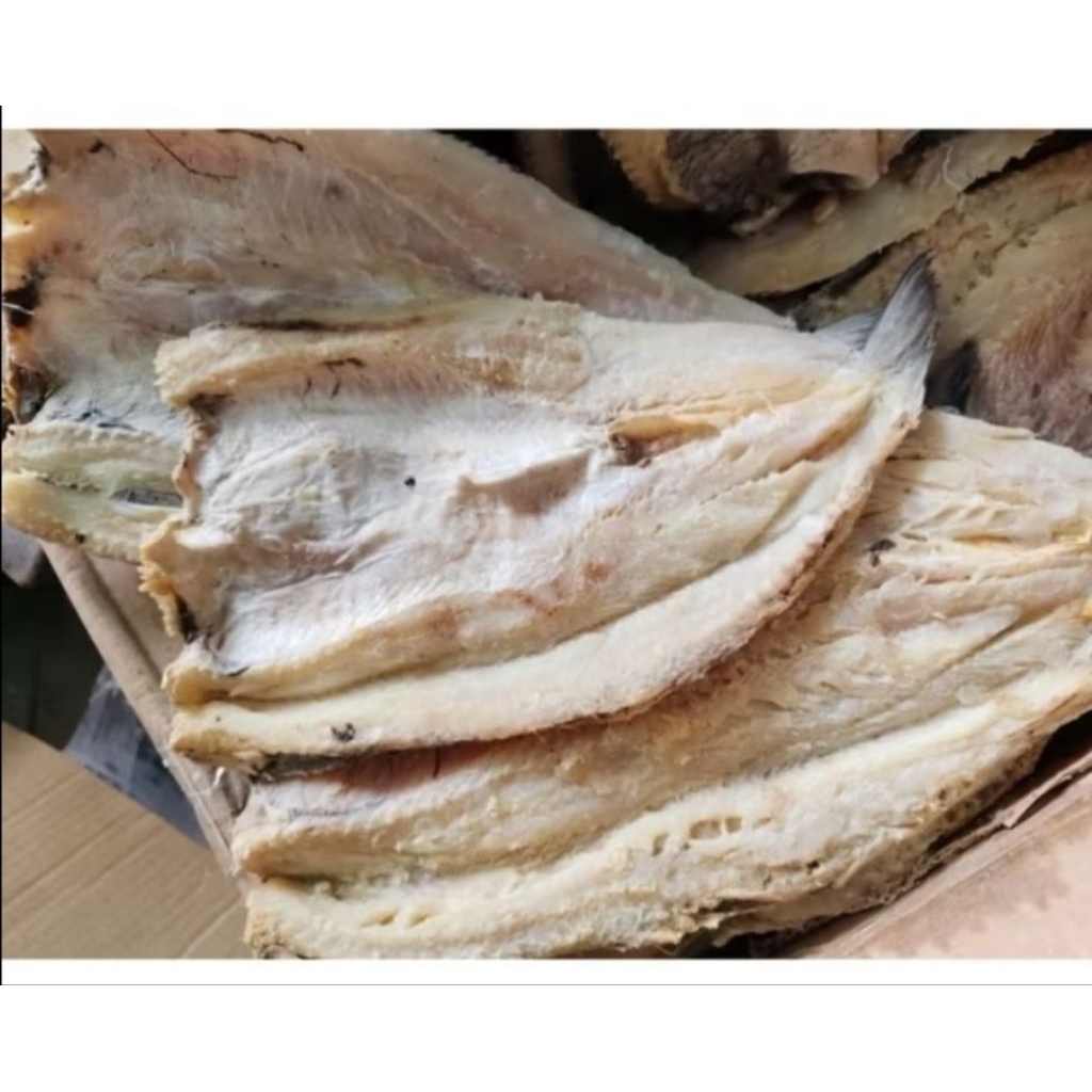 

Ikan Asin Gabus Full Daging Tanpa Tulang