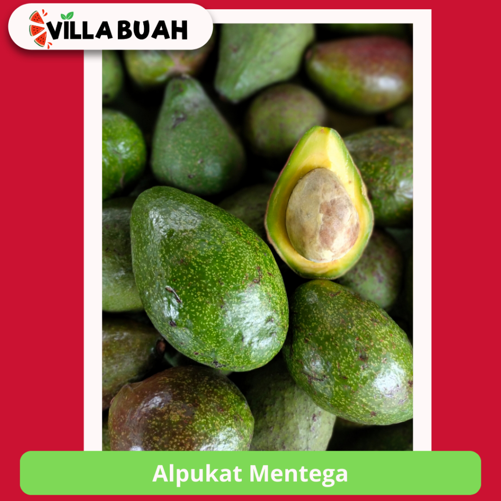 

Alpukat Mentega (1 - 1,1 Kg)