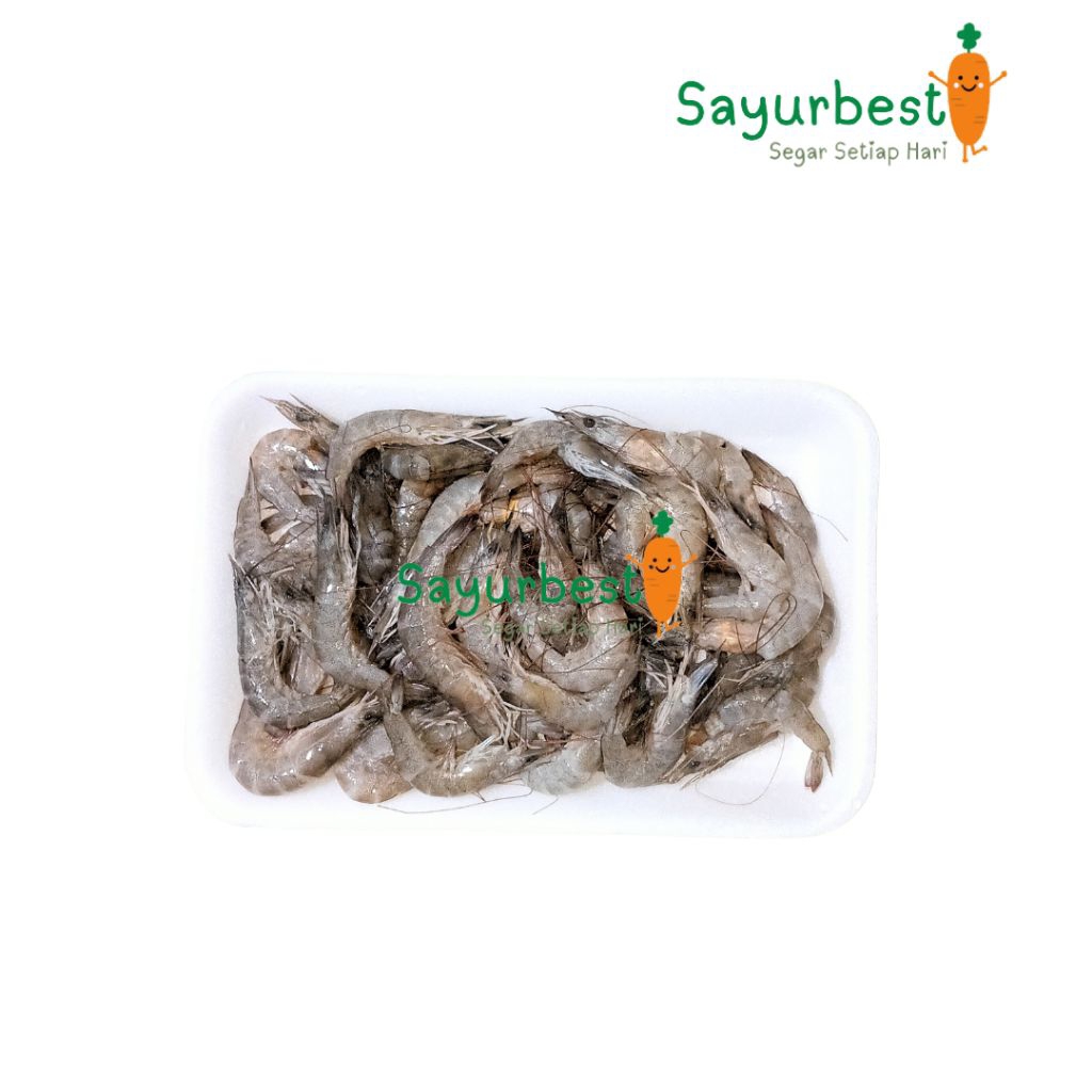 

(PO KIRIM BESOK) Udang Kecil Segar