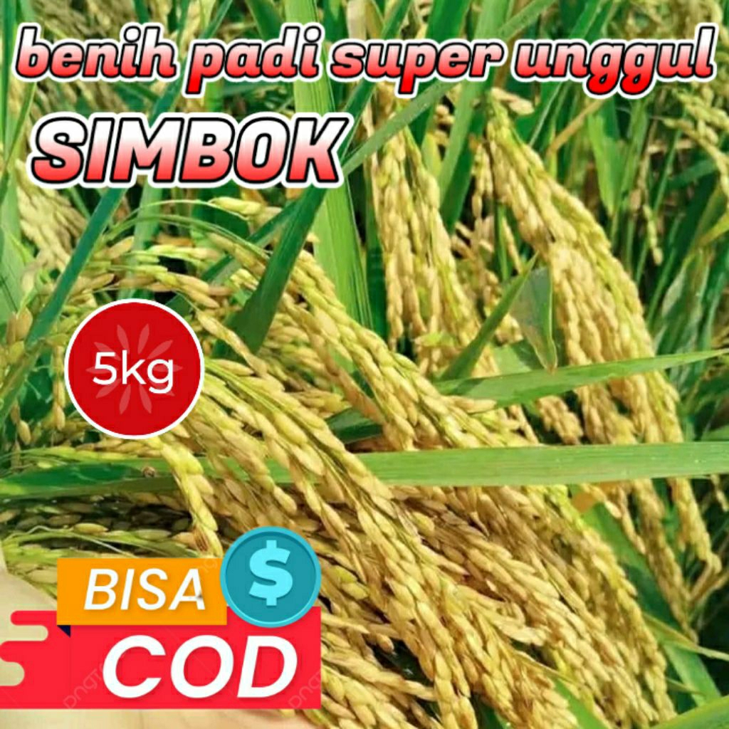 BENIH BIBIT PADI (SIMBOK) KEMASAN 5KG ORIGINAL