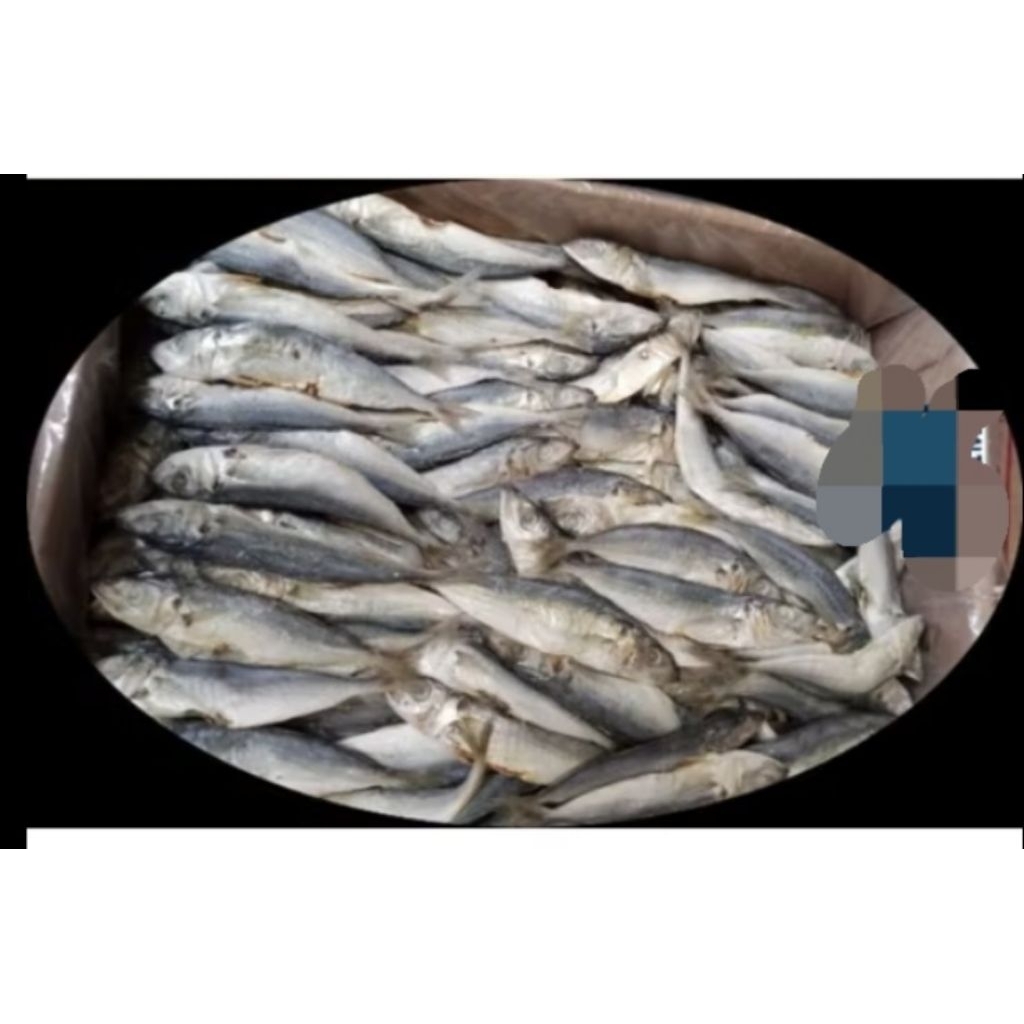 

Ikan Asin Layang Kecil Kering