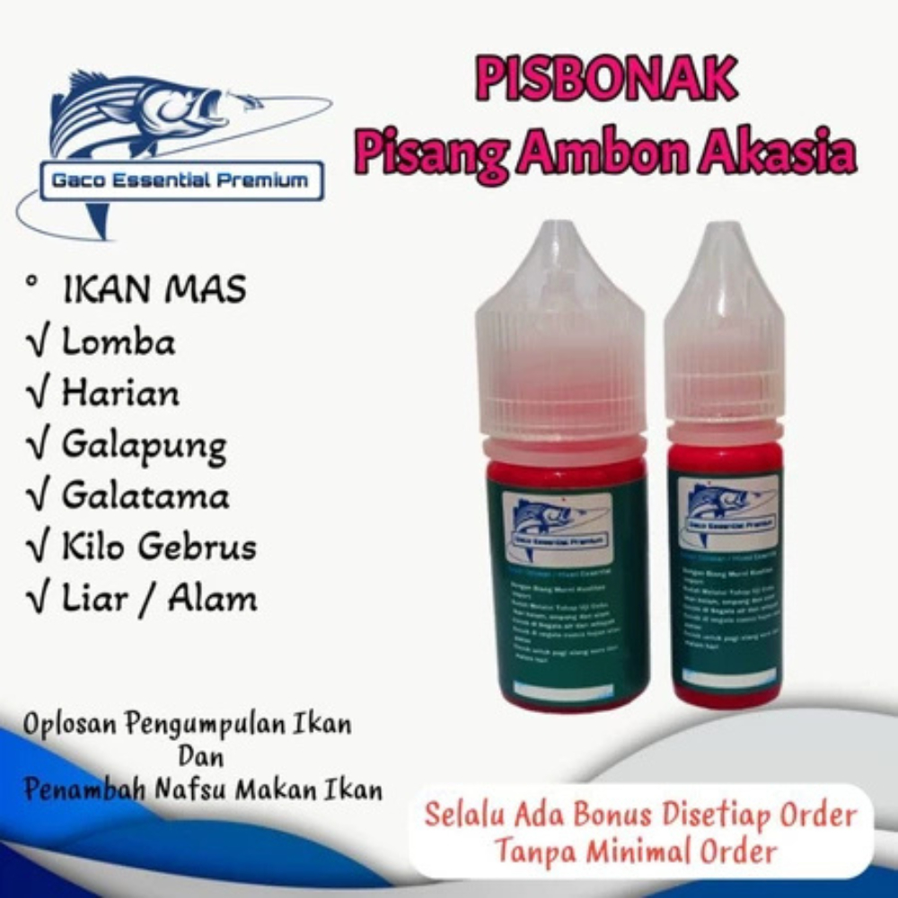 GACO Essen Ikan Mas PISBONAK PISANG AMBON AKASIA / Essen Pisang Ambon