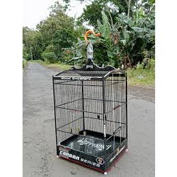 STIKER DECAL SANGKAR EBOD JAYA KARBON EXCELENT NEW STIKER DECAL EBOD JAYA EXCELLENT KARBON